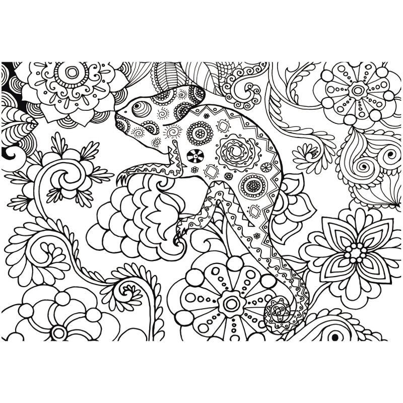 LOT 5 COLORIAGE GEANT CAMELEON