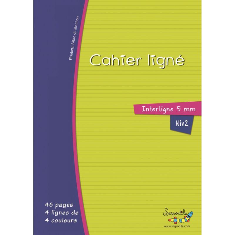 CAHIER DYS 46P 17X22 5MM 100G