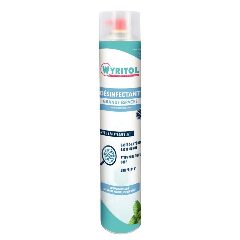 BOMBE DESINF GRD ESPACE 750ML