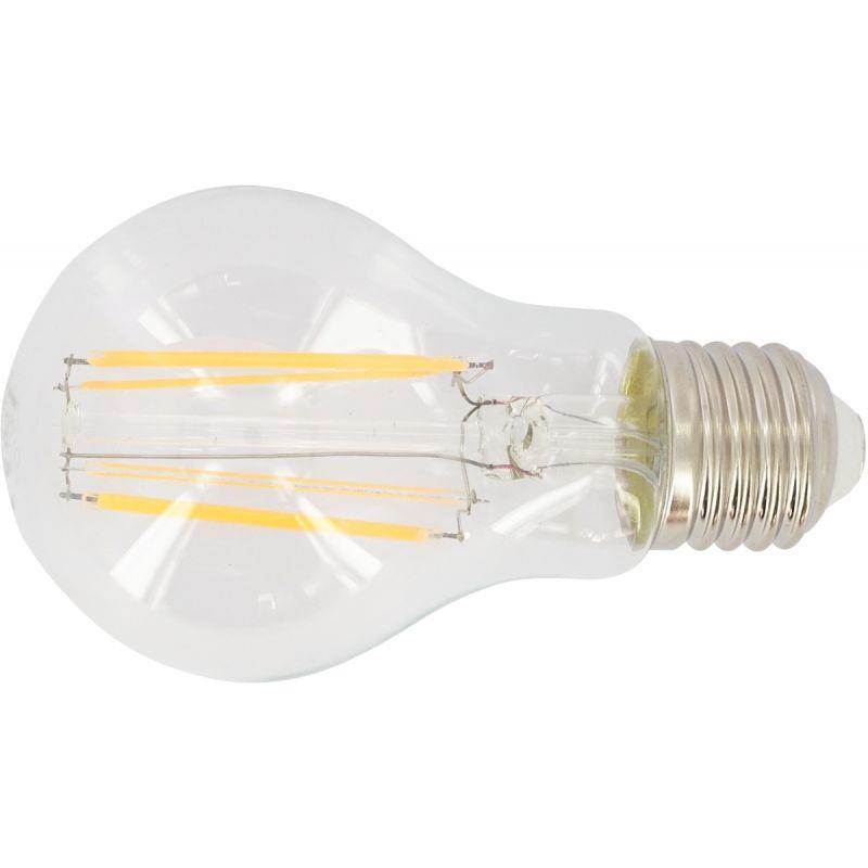 AMPOULE LED STD E27 6W