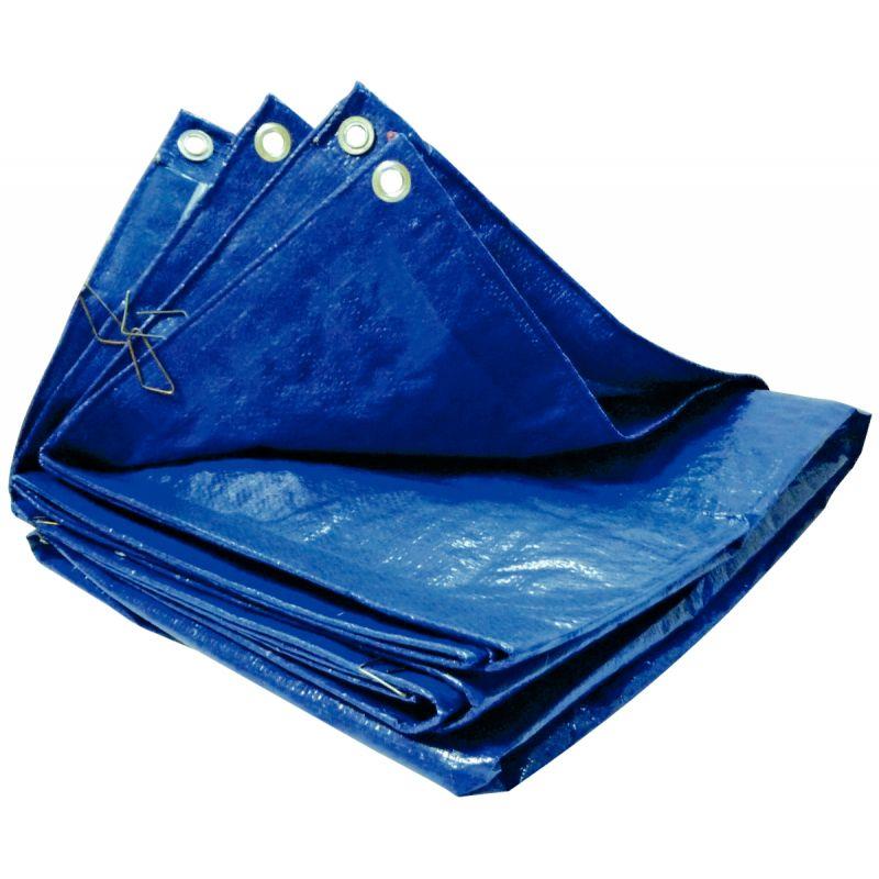 BACHE POLYETHYLENE 2X3M BLE