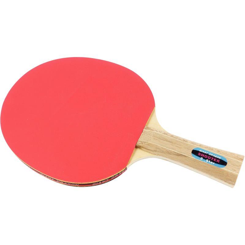 RAQUETTE DE PING-PONG