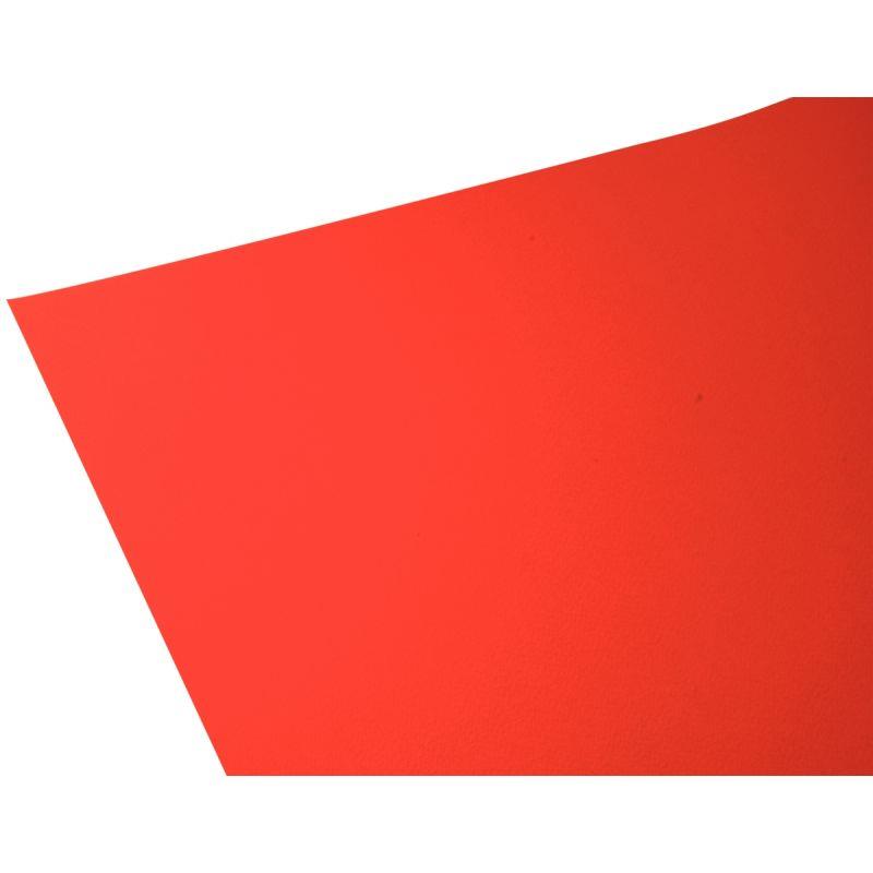 PQ 10F DESSIN 50X65 160G RGE