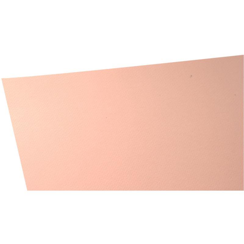 PQ 10F DESSIN 50X65 160G ROSE