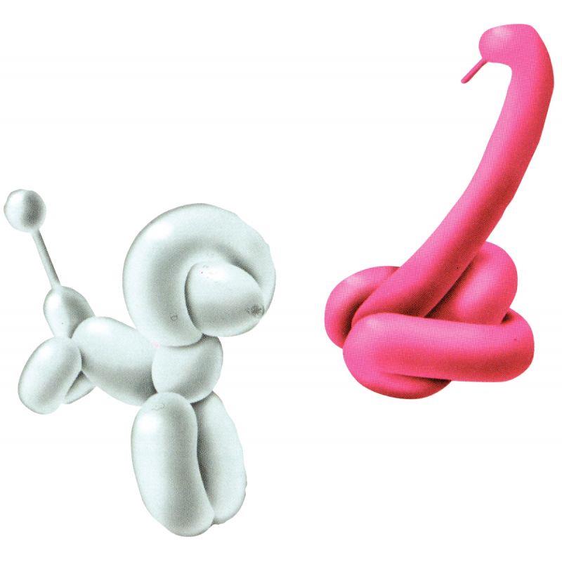 SAC 50 BALLONS A MODELER ASS