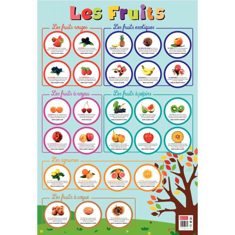 POSTER PVC 76X52 LES FRUITS