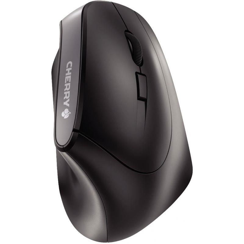 SOURIS CHERRY ERGO JW4500